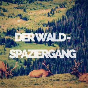 love beyond life | Der Waldspaziergang